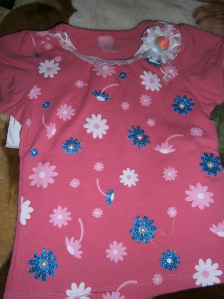 Modelo 01